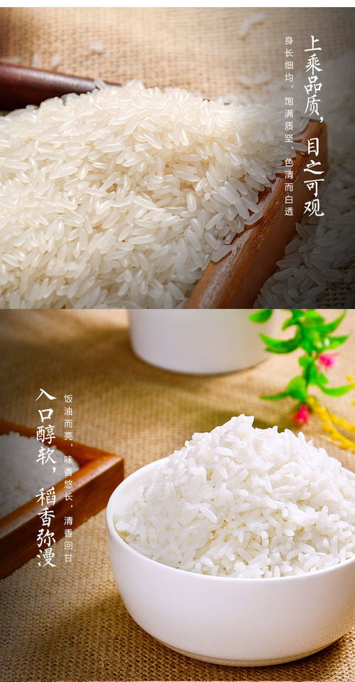 龙虾共生的自然馈赠 上好家虾田稻米的生态种植传奇
