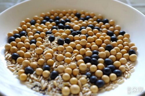 米家豆浆机 享受健康生活的新选择