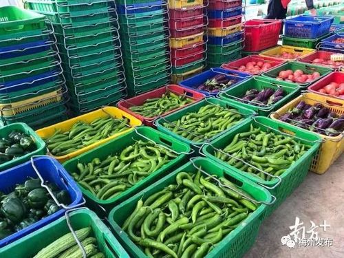 梅州全力做好“米袋子”“菜篮子”等农产品供应和市场流通工作